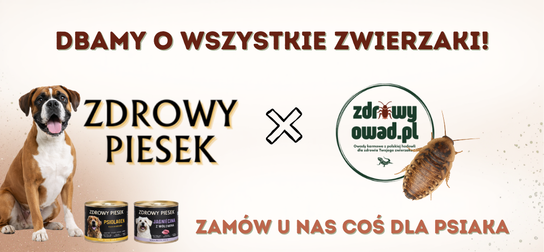 zdrowy piesek zdrowy owad