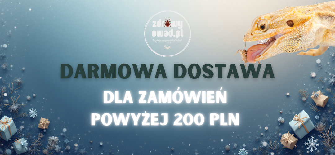 zdrowy owad darmowa dostawa 